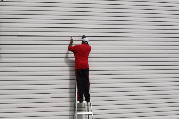 Best Aluminum Siding Installation  in Scenic, AZ